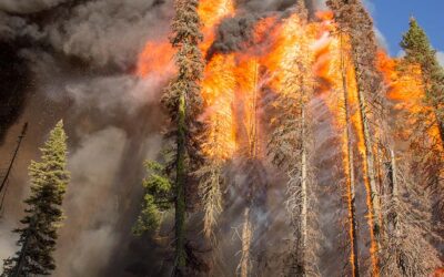 Megafires, an unprecedented environmental crisis